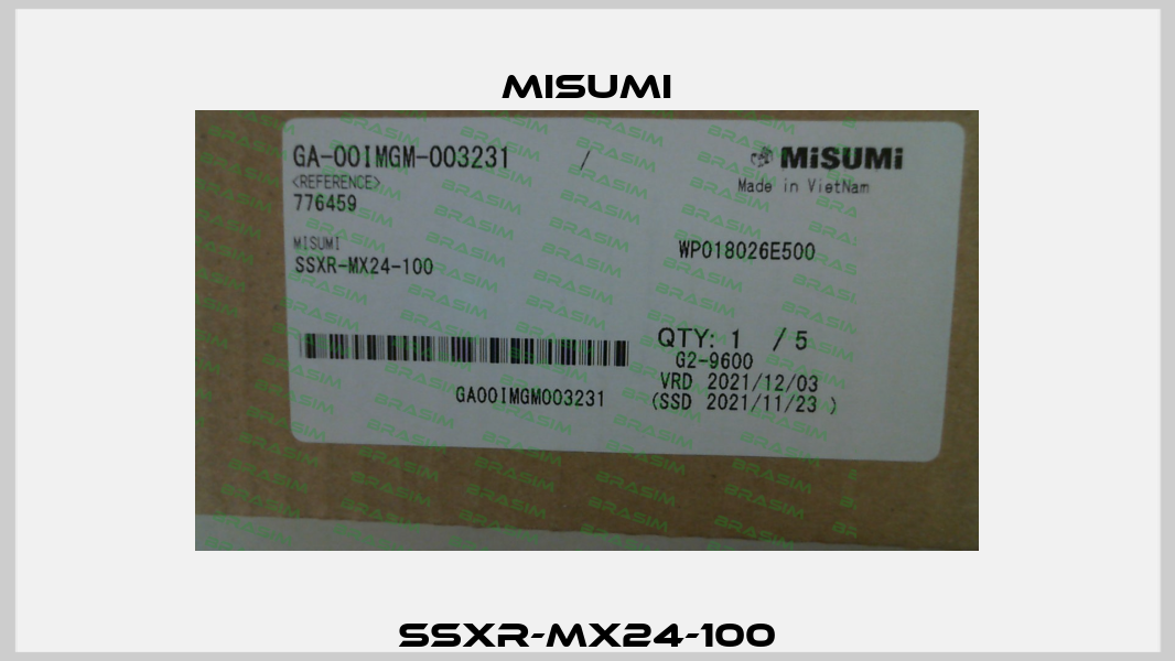 SSXR-MX24-100 Misumi