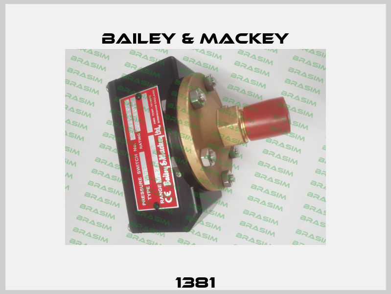 1381 Bailey & Mackey
