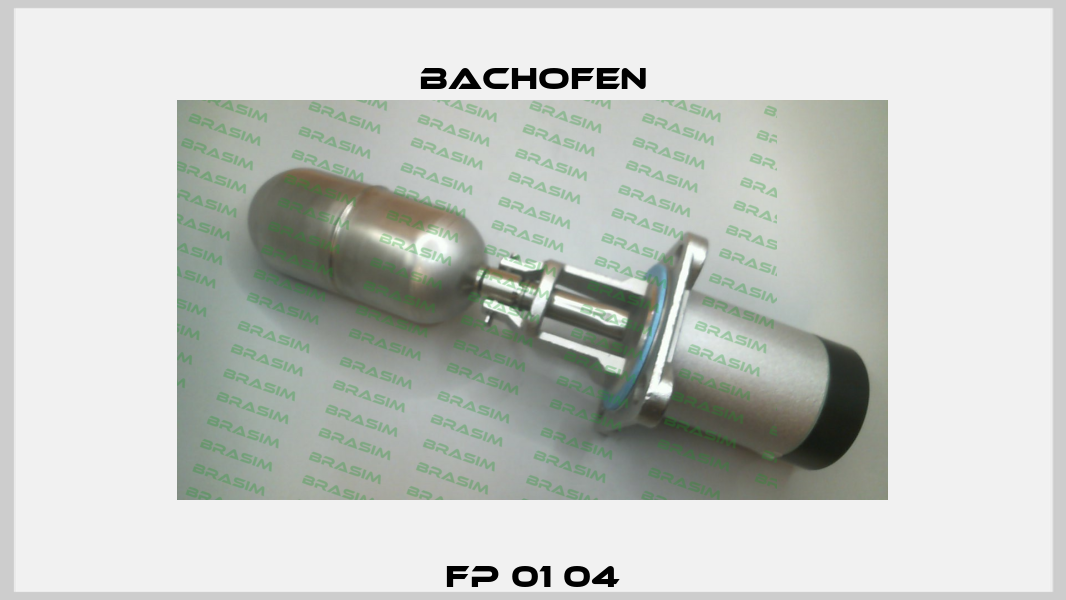 FP 01 04 Bachofen