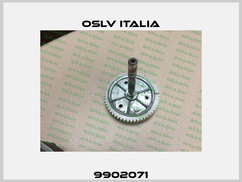 9902071 OSLV Italia