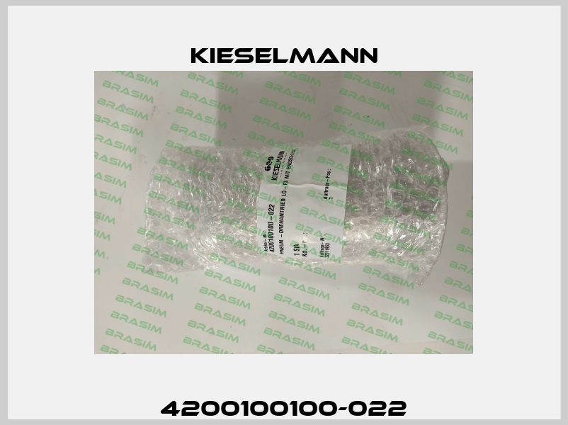 4200100100-022 Kieselmann