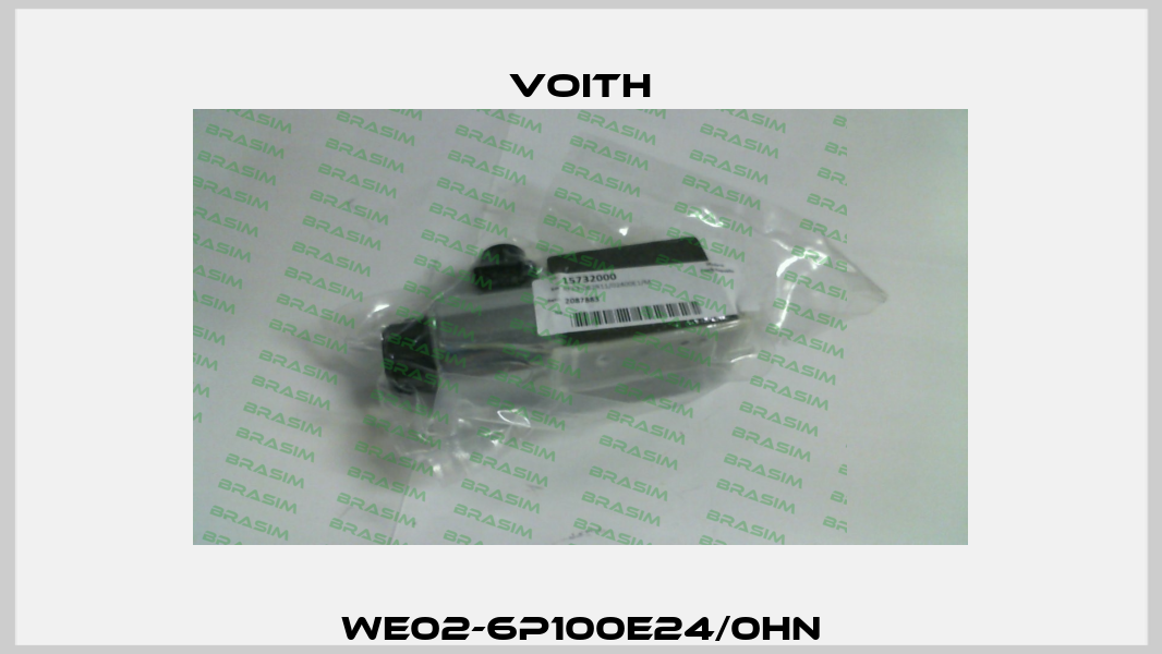 WE02-6P100E24/0HN Voith