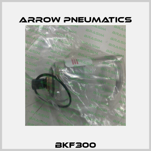 BKF300 Arrow Pneumatics