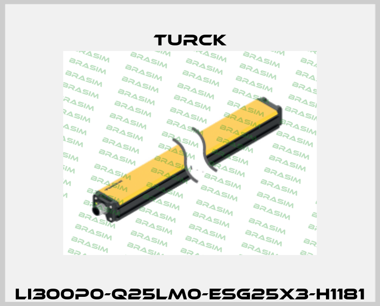 LI300P0-Q25LM0-ESG25X3-H1181 Turck