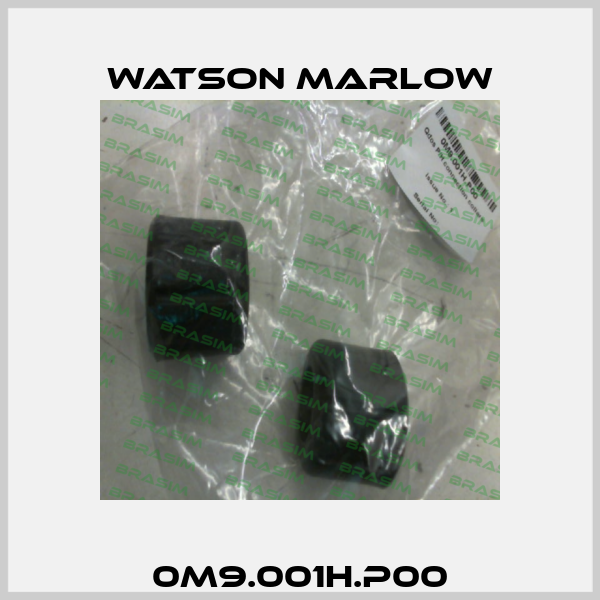 0M9.001H.P00 Watson Marlow