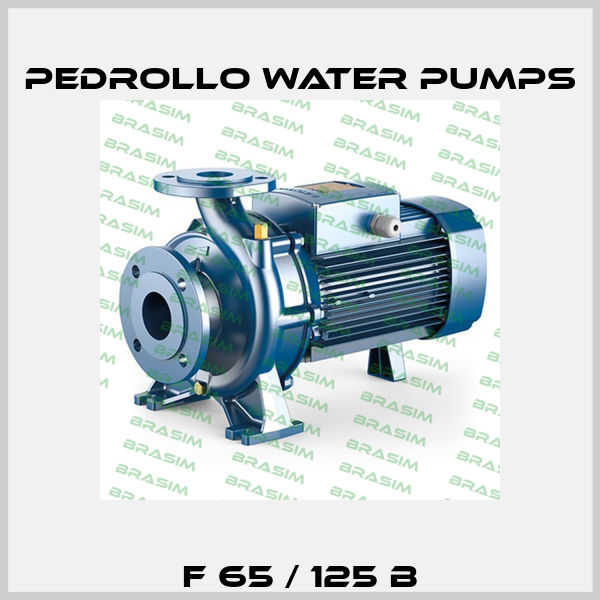 F 65 / 125 B Pedrollo Water Pumps