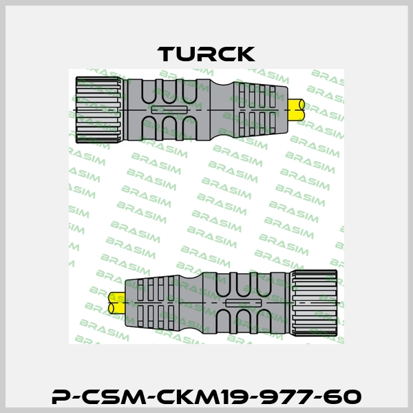 P-CSM-CKM19-977-60 Turck