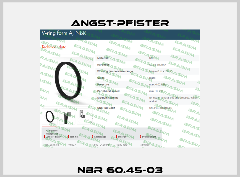NBR 60.45-03 Angst-Pfister