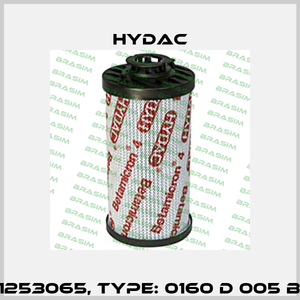 Mat No. 1253065, Type: 0160 D 005 BH4HC /-V Hydac