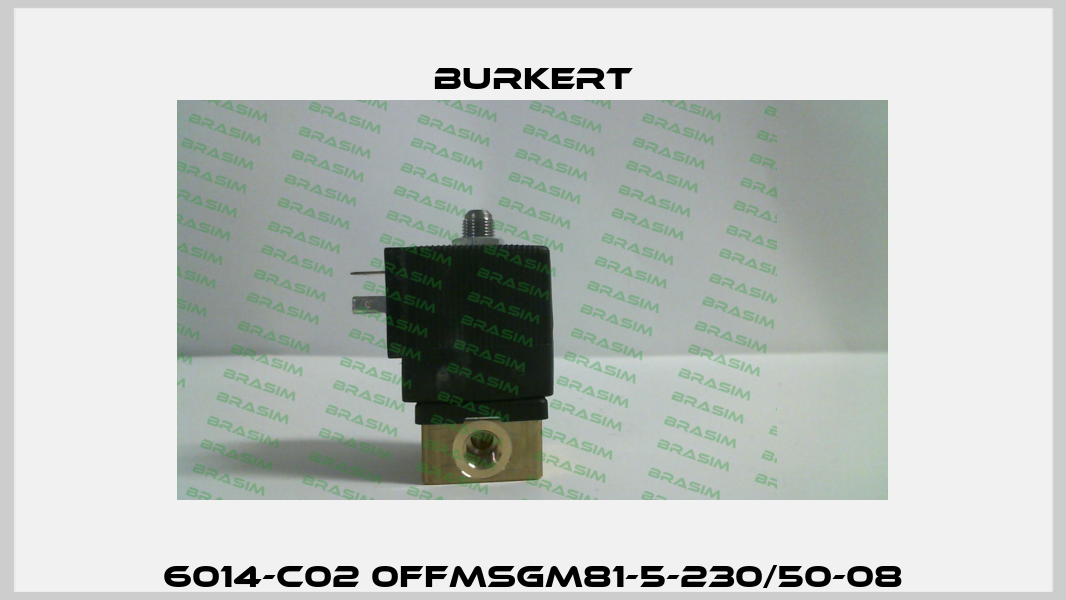 6014-C02 0FFMSGM81-5-230/50-08 Burkert