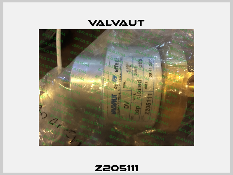 Z205111 Valvaut