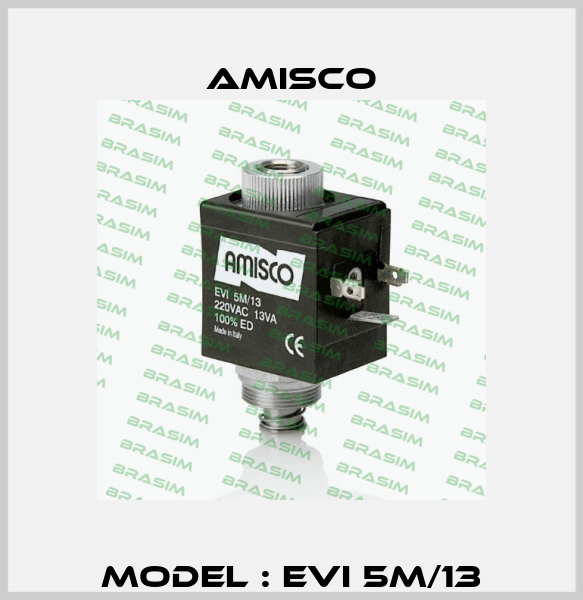 Model : EVI 5M/13 Amisco