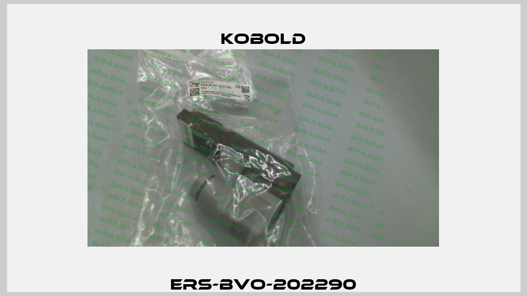 ERS-BVO-202290 Kobold