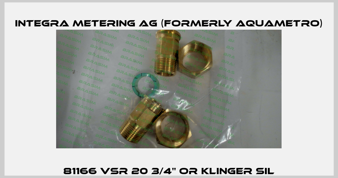 81166 VSR 20 3/4" OR KLINGER SIL Integra Metering AG (formerly Aquametro)